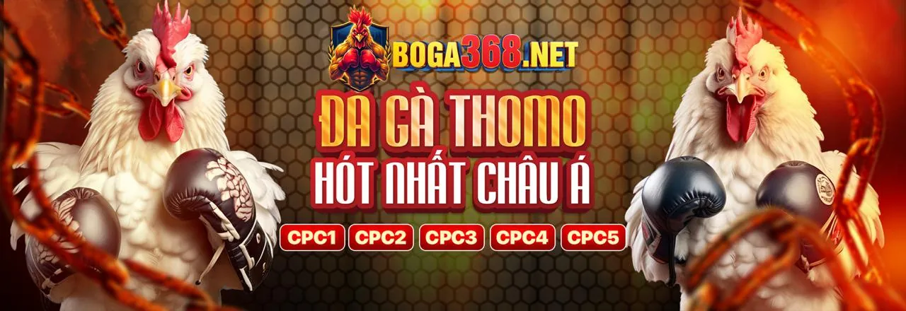 Đá gà trực tuyến kịch tính tại tg88.com